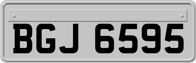 BGJ6595