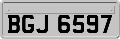 BGJ6597
