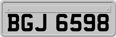 BGJ6598