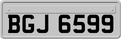 BGJ6599
