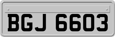 BGJ6603