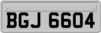 BGJ6604