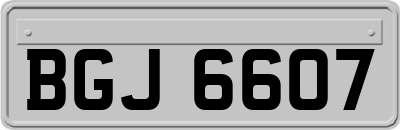 BGJ6607
