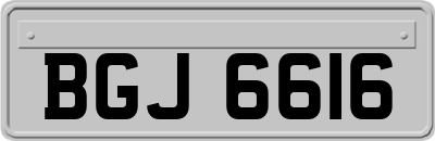 BGJ6616