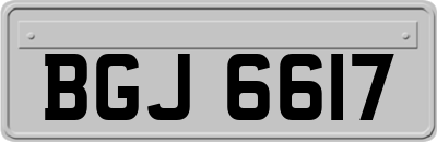 BGJ6617