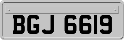 BGJ6619