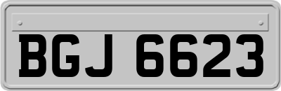BGJ6623