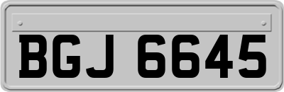 BGJ6645