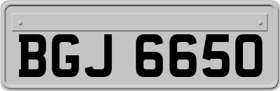 BGJ6650