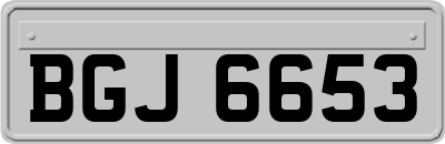 BGJ6653