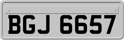 BGJ6657