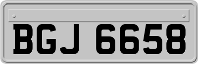 BGJ6658