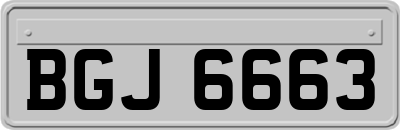 BGJ6663