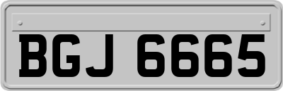 BGJ6665