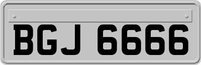 BGJ6666