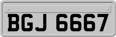 BGJ6667