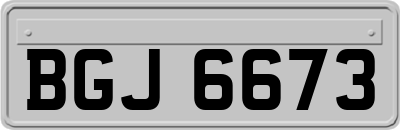 BGJ6673
