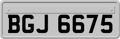 BGJ6675