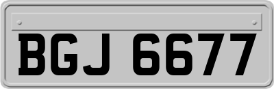 BGJ6677