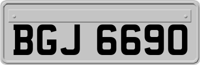 BGJ6690