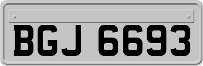 BGJ6693