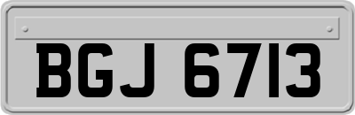 BGJ6713