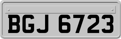 BGJ6723