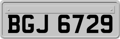 BGJ6729