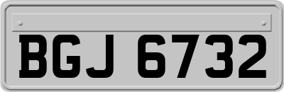 BGJ6732
