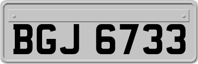 BGJ6733