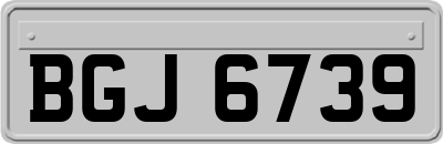BGJ6739