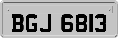 BGJ6813