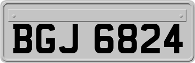 BGJ6824