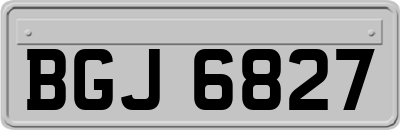 BGJ6827