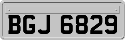BGJ6829