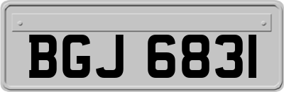 BGJ6831