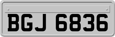 BGJ6836