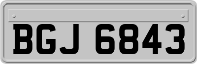 BGJ6843