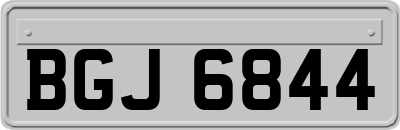 BGJ6844
