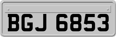 BGJ6853