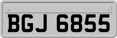 BGJ6855