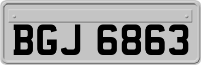 BGJ6863
