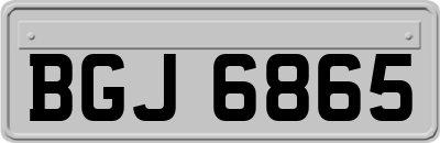 BGJ6865
