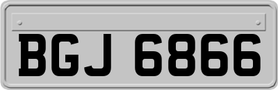 BGJ6866