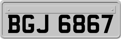BGJ6867