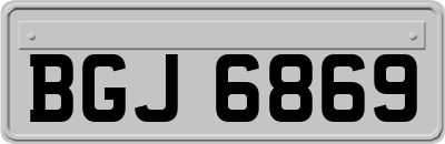 BGJ6869