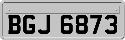 BGJ6873