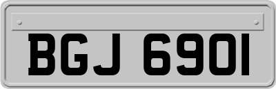 BGJ6901