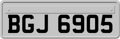 BGJ6905