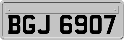 BGJ6907
